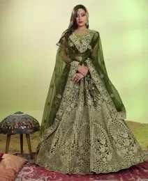 Green color lehenga with heavy border work of zari jerkan and sequence