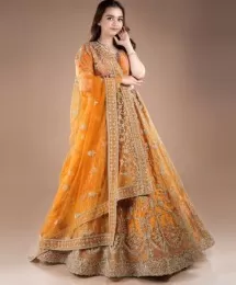 Zircon embroidered royal lehenga choli set