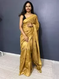 Attractive Saree Collection